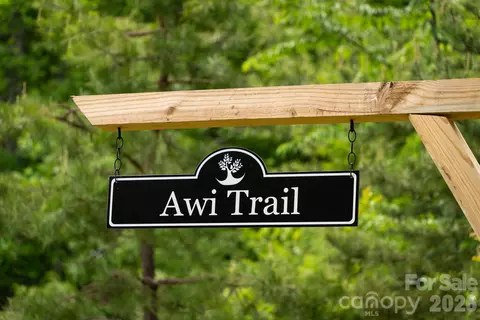 Awi Trail, Hendersonville, NC 28739