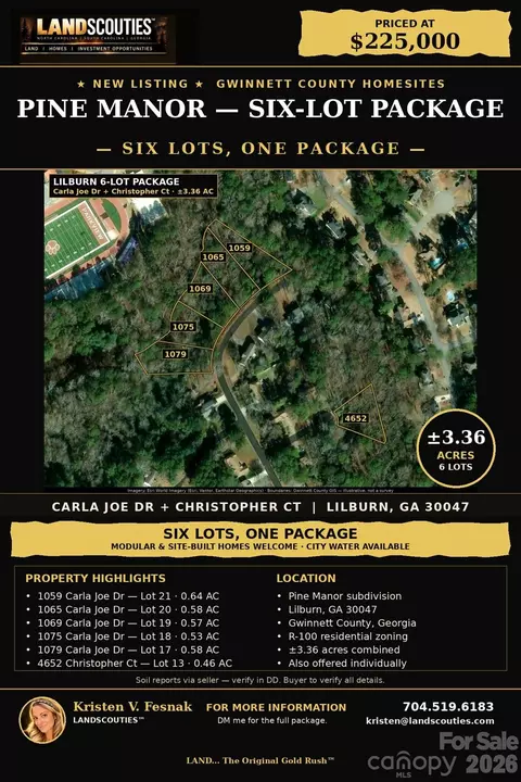 1059 Carla Joe Dr, Lilburn, GA 30047