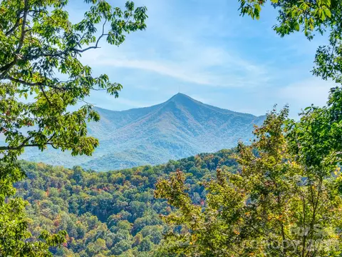 100 White Rock Branch Rd, Candler, NC 28715