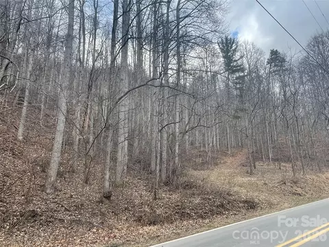 999999 Martins Creek Rd, Barnardsville, NC 28709