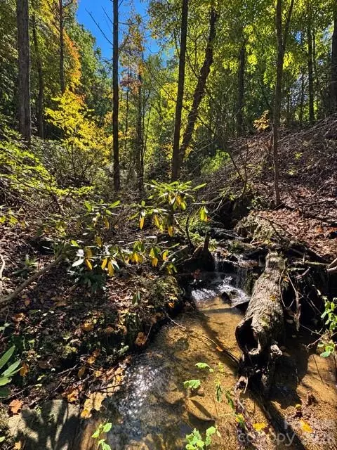 9999 Bird Creek Estates Rd, Black Mountain, NC 28711