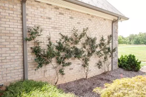 655 Kingstree Rd, Salisbury, NC 28146 photo 41