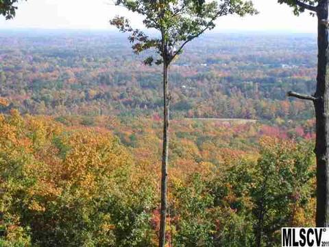3740 Tower Rd, Maiden, NC 28650 photo 19