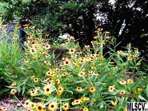322 Golf Course Rd, Morganton, NC 28655 photo 6