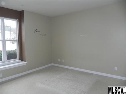 18605 Ruffner Dr #1C, Cornelius, NC 28031 photo 9