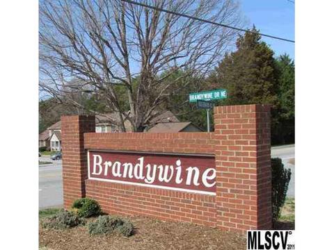 102 Brandywine Dr #X4, Conover, NC 28613 photo 8