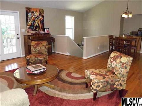 704 Flint Ct, Conover, NC 28613 photo 22