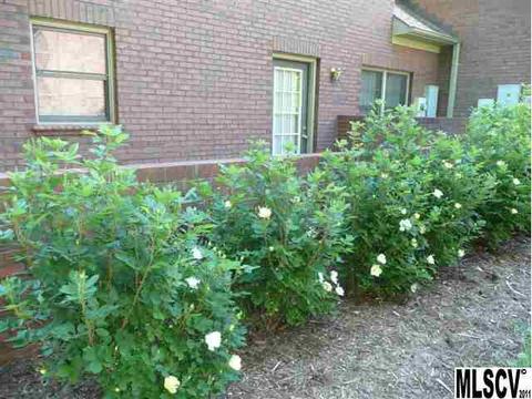 315 10th Ave #A2, Conover, NC 28613 photo 15