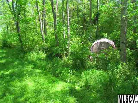 375 Ramie Mitchell Rd, Hiddenite, NC 28636 photo 23