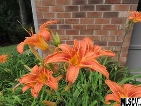 104 8th St, Conover, NC 28613 photo 19