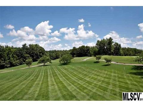 4026 Golf Dr, Conover, NC 28613 photo 16