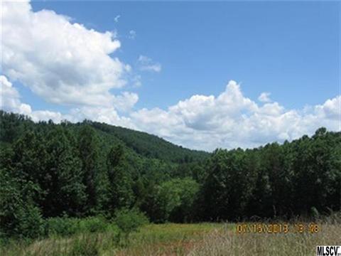 999 Blackburn Hollow Rd, Purlear, NC 28665 photo 3