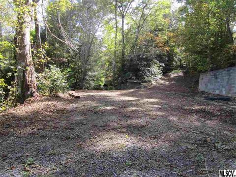 6500 Harbor Ln, Conover, NC 28613 photo 15
