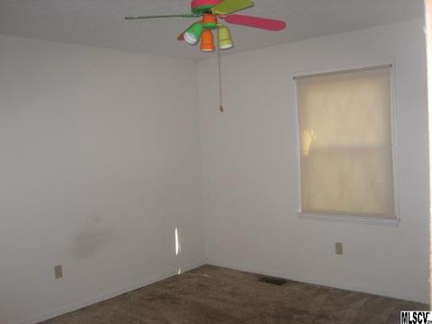 9215 Apache Dr, Hickory, NC 28601 photo 10
