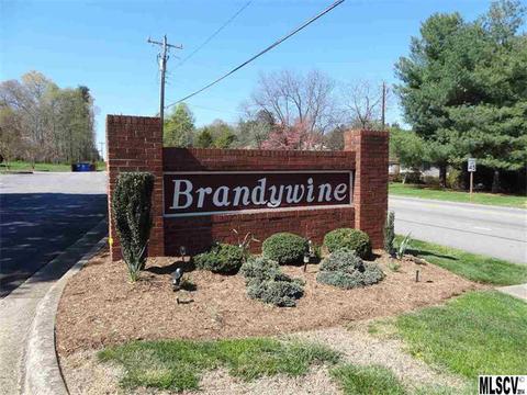 102 Brandywine Dr #M3, Conover, NC 28613 photo 12
