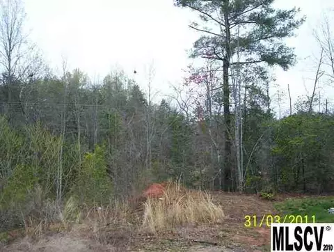 295 Cape Hickory Rd, Hickory, NC 28601 photo 3