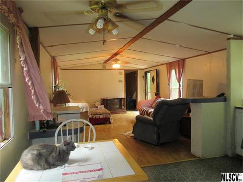 2387 Swanson Rd, Crouse, NC 28033 photo 3