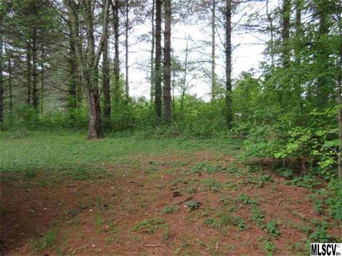 2387 Swanson Rd, Crouse, NC 28033 photo 17