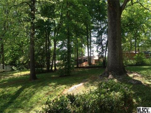 1313 9th Ave, Conover, NC 28613 photo 6