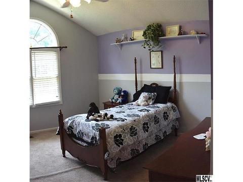 3204 6th Ave, Conover, NC 28613 photo 19