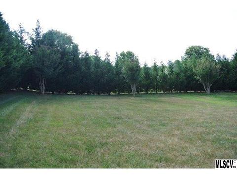 5097 Silver Tree Trl, Conover, NC 28613 photo 18