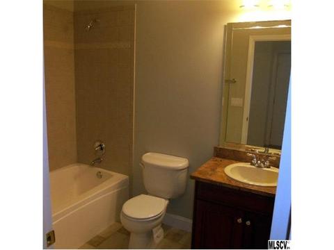 7828 Dimple Ct, Denver, NC 28037 photo 9