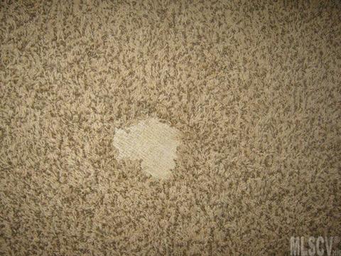 2227 Angle Dr, Conover, NC 28613 photo 24