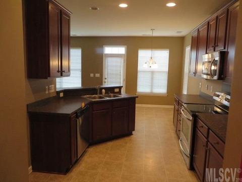 17933 Train Station Dr, Cornelius, NC 28031 photo 15