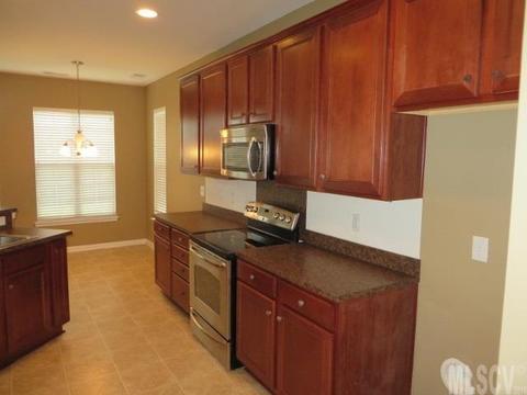 17933 Train Station Dr, Cornelius, NC 28031 photo 16
