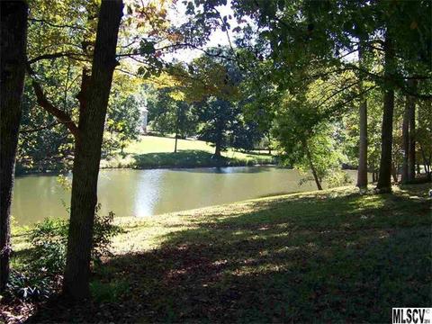 2561 Eagle Dr, Conover, NC 28613 photo 22