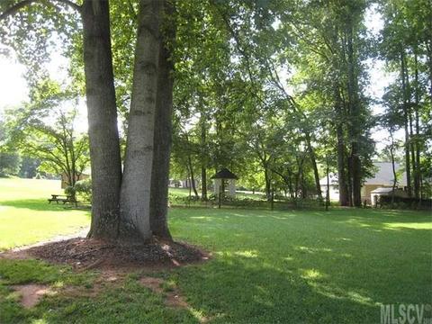 1000 Tangle Dr, Hickory, NC 28602 photo 10