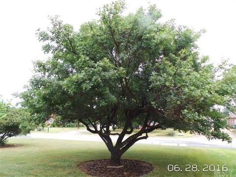 5159 Olde School Dr, Hickory, NC 28602 photo 11