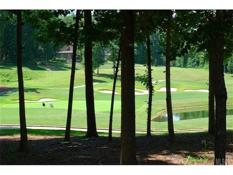 3885 Stadler Dr, Conover, NC 28613 photo 18