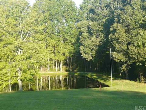 1173 Creekside Dr, Conover, NC 28613 photo 19