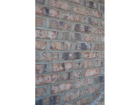 1009 7th Ave, Conover, NC 28613 photo 11