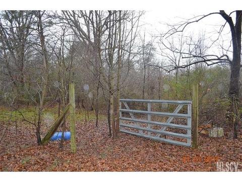 3411 9th Street Ne Dr NE, Hickory, NC 28601 photo 8
