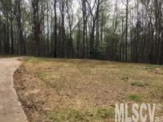 3354 Danial St, Conover, NC 28613 photo 9
