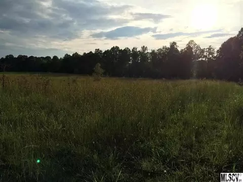 5541 Swinging Bridge Rd, Conover, NC 28613 photo 3