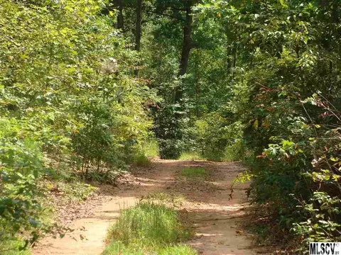 5541 Swinging Bridge Rd, Conover, NC 28613 photo 8