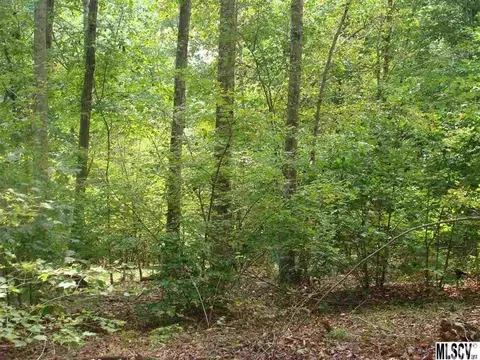 5541 Swinging Bridge Rd, Conover, NC 28613 photo 12