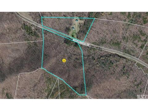 940 Camp Mccall Rd, Bostic, NC 28018 photo 18