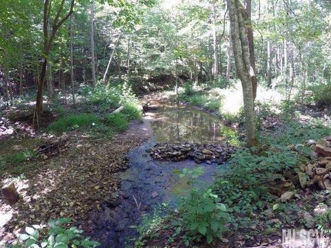 940 Camp Mccall Rd, Bostic, NC 28018 photo 17