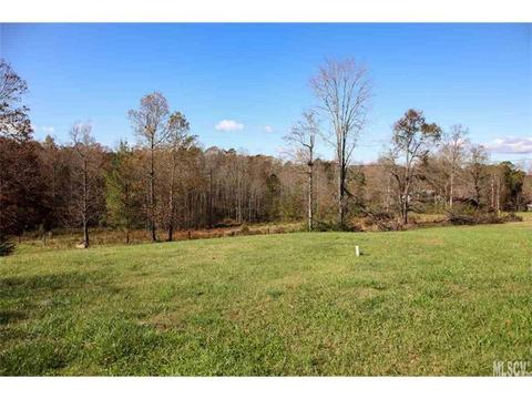 8843 Mull Rd, Vale, NC 28168 photo 15