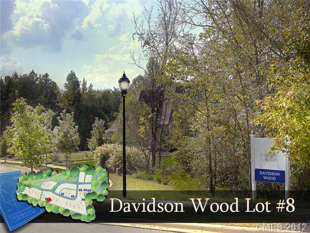 721 Hudson Pl, Davidson, NC 28036 photo 1