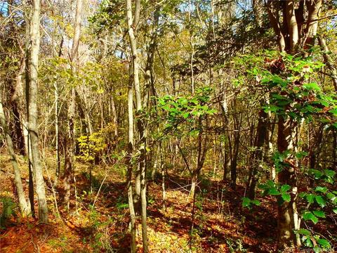 8836 Jacob Fork River Rd, Vale, NC 28168 photo 29