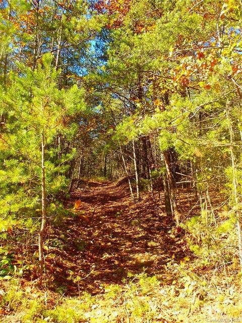 8836 Jacob Fork River Rd, Vale, NC 28168 photo 22