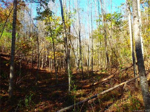 8836 Jacob Fork River Rd, Vale, NC 28168 photo 25