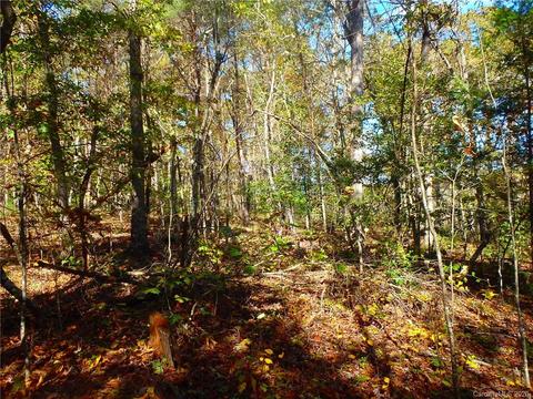 8836 Jacob Fork River Rd, Vale, NC 28168 photo 28