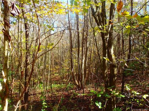 8836 Jacob Fork River Rd, Vale, NC 28168 photo 30