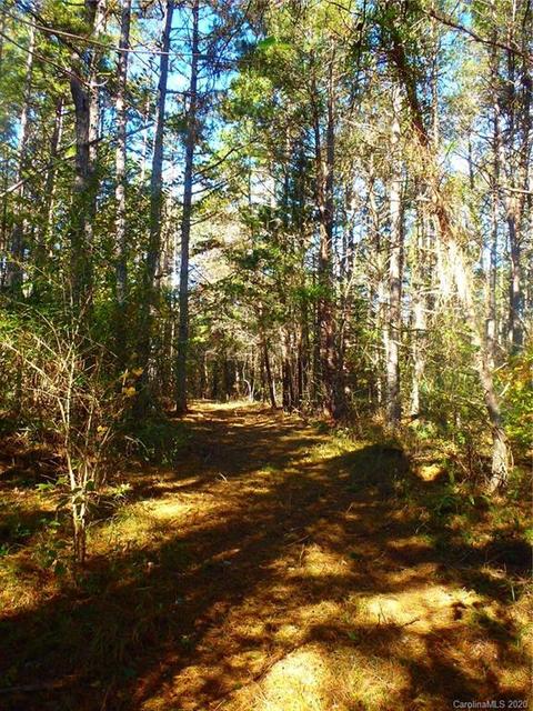 8836 Jacob Fork River Rd, Vale, NC 28168 photo 3